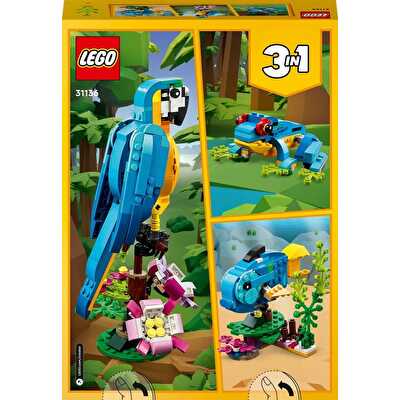 LEGO Creator 3’ü 1 Arada Egzotik Papağan 31136