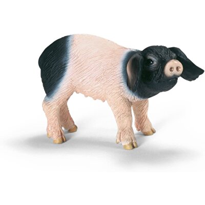 Schleich Domuzcuk 13636