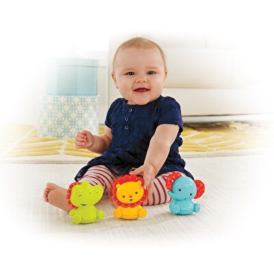 Fisher Price Sevimli Arkadaşlar Çıngırak Seti