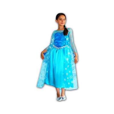 Disney Frozen Elsa Butik Kostüm 7-9 Yaş