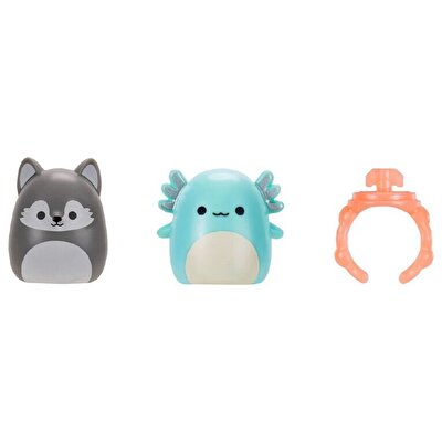 Squishmallows Squish-a-Longs 2'li Sürpriz Paket Seri 3