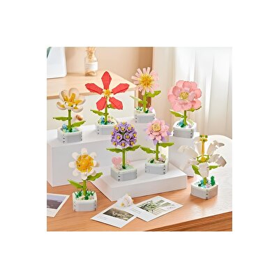 Saksıda Çiçek Yapım Seti Epiphyllum Cactus