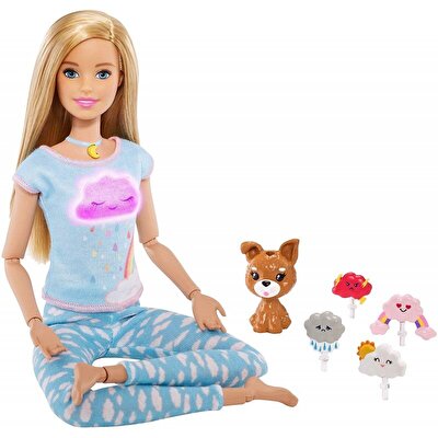 Barbie Wellness Barbie Nefes Egzersizi Bebeği GNK01
