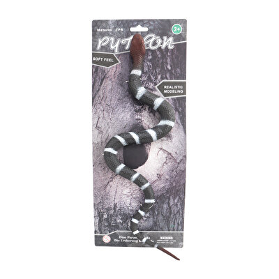 Strech Bungarus Yılan