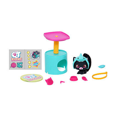 QT Kitties Ash Yavru Kedi