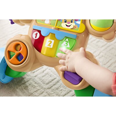 Fisher Price Eğlen ve Öğren Yaşa Göre Gelişim Eğitici Köpekçik Yürüteç FTG10