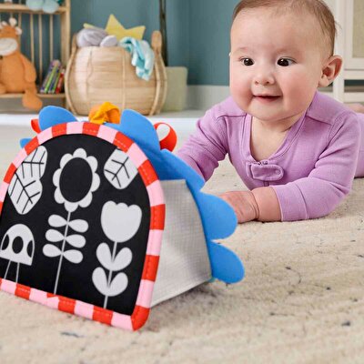 Fisher Price Eğlenceli Kirpi Ayna JHB45