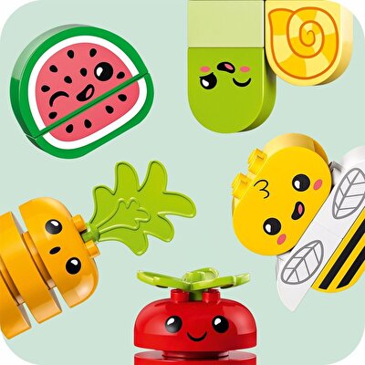 LEGO Duplo İlk Organik Bahçe 10984