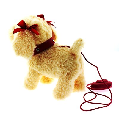 Dansçı Köpeğim Boncuk