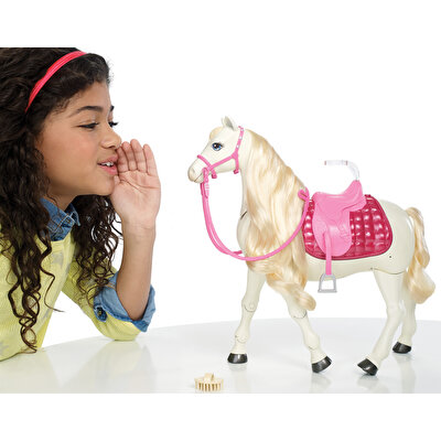 Barbie ve Muhteşem Atı