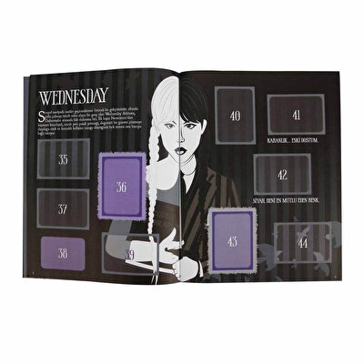 Panini Wednesday Çıkartma Albümü