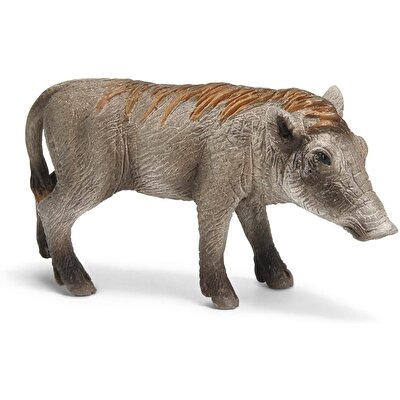 Schleich Yaban Domuzu Yavru 14612