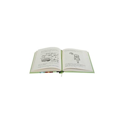 Mucitler Okulu - Her Şeyin Teorisi