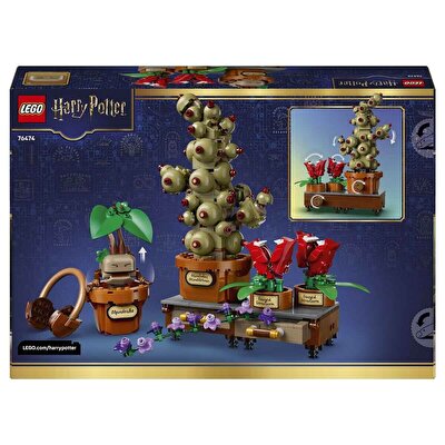 LEGO Harry Potter Hogwarts Bitkibilim Bitkileri 76474