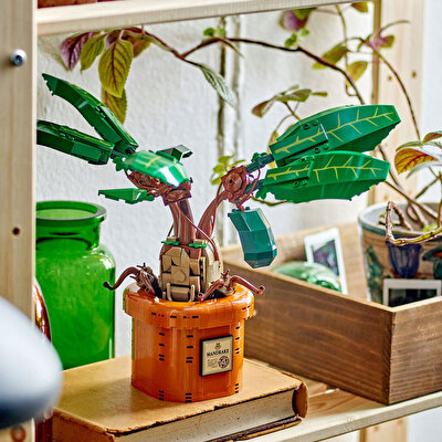 LEGO Harry Potter Adamotu 76433