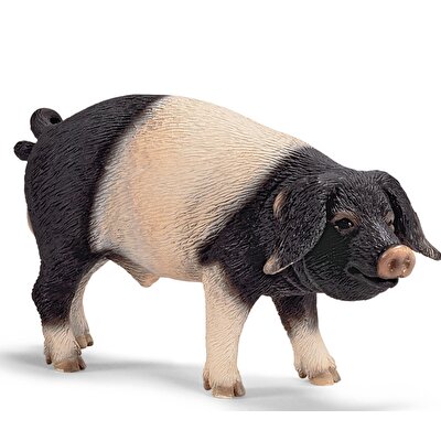 Schleich Suabyeli Domuz 13643