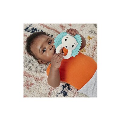Fisher Price Eğlenceli Dostlar Dişlik ve Çıngıraklar Hold and Jingle Hedgehog HKD72