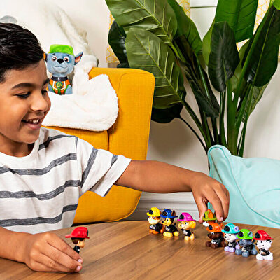 Paw Patrol Sürpriz Mini Figür