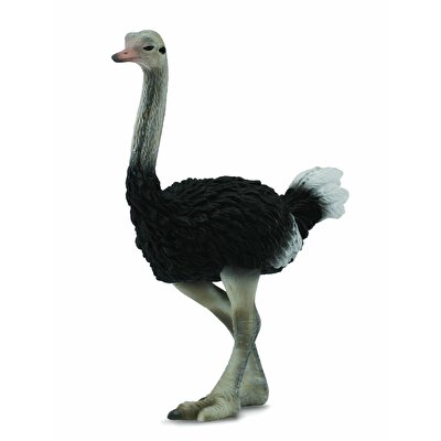 Collecta Ostrich