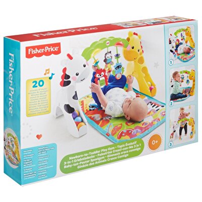 Fisher Price Oyun Dünyası Jimnastik Merkezi