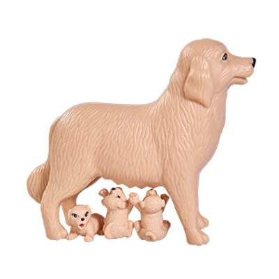 Evi Love Köpek Bakıcısı