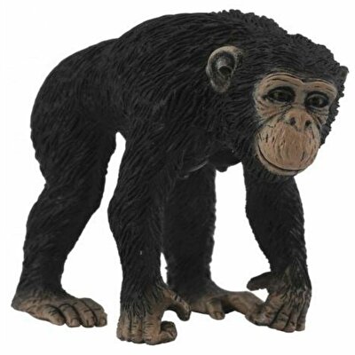 Collecta Dişi Şempanze