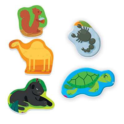 Clementoni Oyna ve Öğren - Nerede Yaşarlar