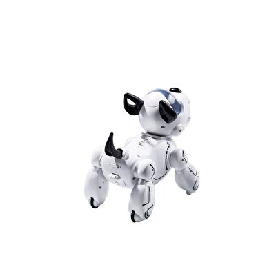 My Puppy Robot