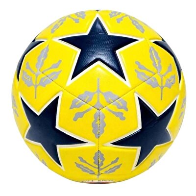 Fenerbahçe Futbol Topu Leaf