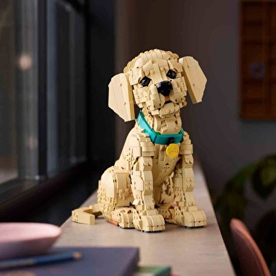 LEGO Icons Yavru Golden Retriever 11384