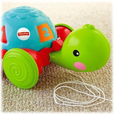 Fisher Price Çek Çek Kaplumbağa Y8652