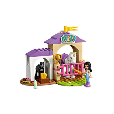 LEGO Friends At Eğitmeni ve At Eğitimi 41441