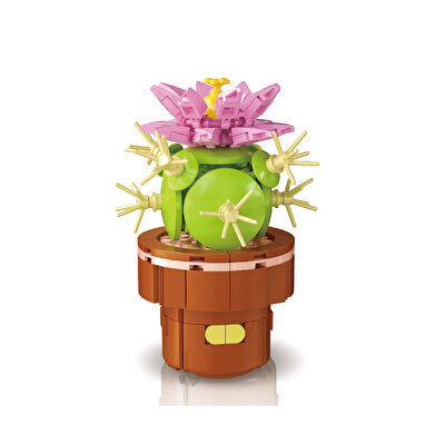 Mega Bitki Çiçekleri Kaktüs 181 Parça