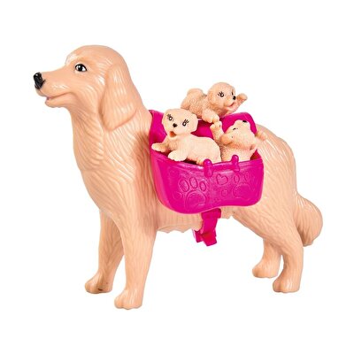 Evi Love Köpek Bakıcısı