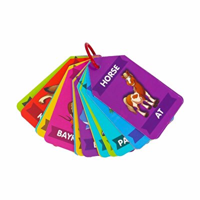 Flash Kartlar Hayvanlar