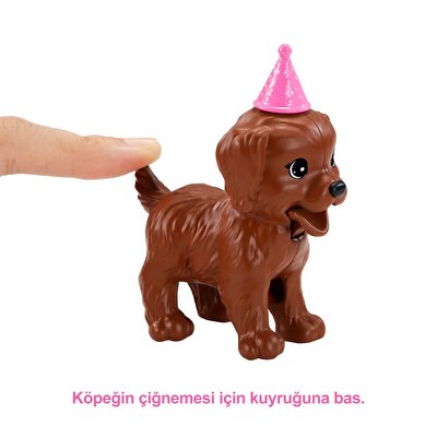 Barbie Bebek ve Köpek Partisi Oyun Seti GXV75