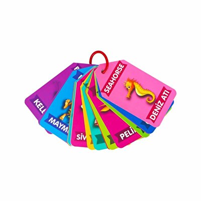 Flash Kartlar Hayvanlar