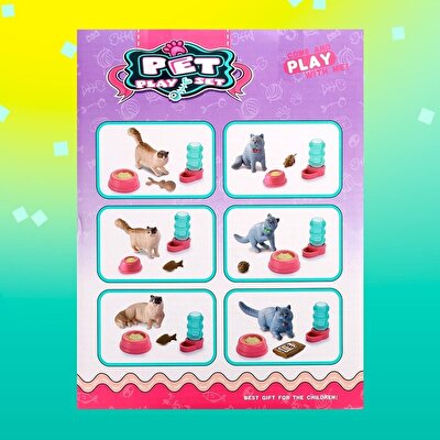 Evcil Hayvan Yavru Kedi Sürpriz Paket