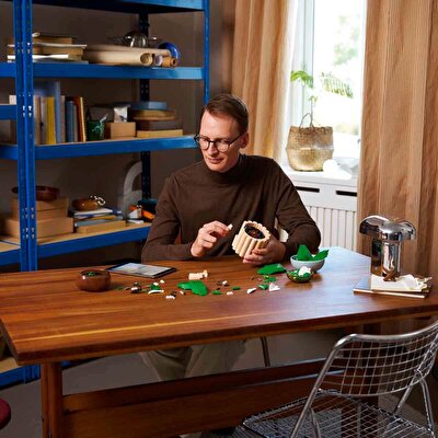 LEGO Botanicals Barış Çiçeği 11504