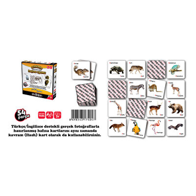 Anatolian Vahşi Hayvanlar Hafıza Oyunu