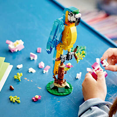 LEGO Creator 3’ü 1 Arada Egzotik Papağan 31136
