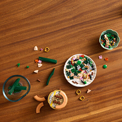 LEGO Botanicals Mini Orkide 10343