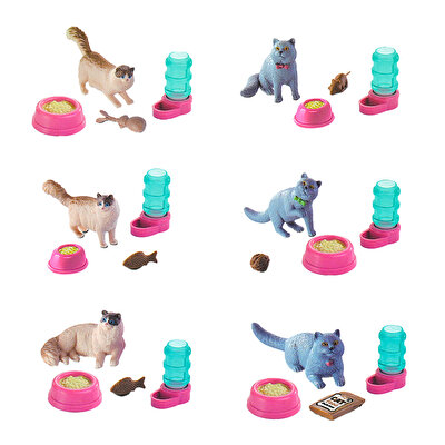 Evcil Hayvan Yavru Kedi Sürpriz Paket