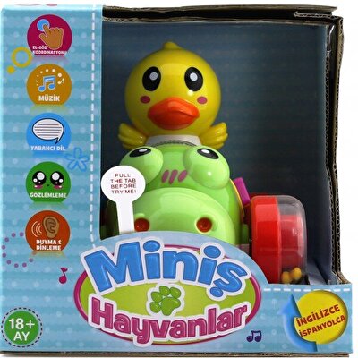 İngilizce ve İspanyolca Konuşan Sevimli Ördek