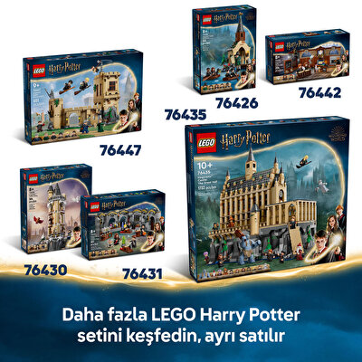 LEGO Harry Potter Hagrid ve Harry'nin Motosiklet Yolculuğu 76443