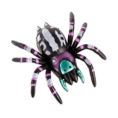 Sticky Spider Yapışkan Örümcek