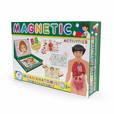 Manyetik İnsan Anatomisi Aktivite Oyun Seti 58 Parça