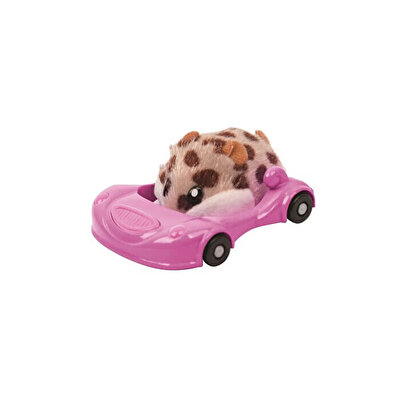 Hamsters Tekli Paket