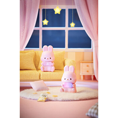 Momo Bunny Life Diar Serisi Sürpriz Paket Koleksiyon Figürü