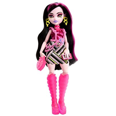 Monster High Gizemli Arkadaşlar 3.Seri Draculaura HNF78